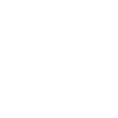Prime Intensity Training logo
